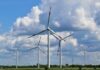 5 Ways to Go Green and Save Money Green and Save Money